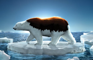 global-warming-posters