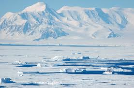 antartic